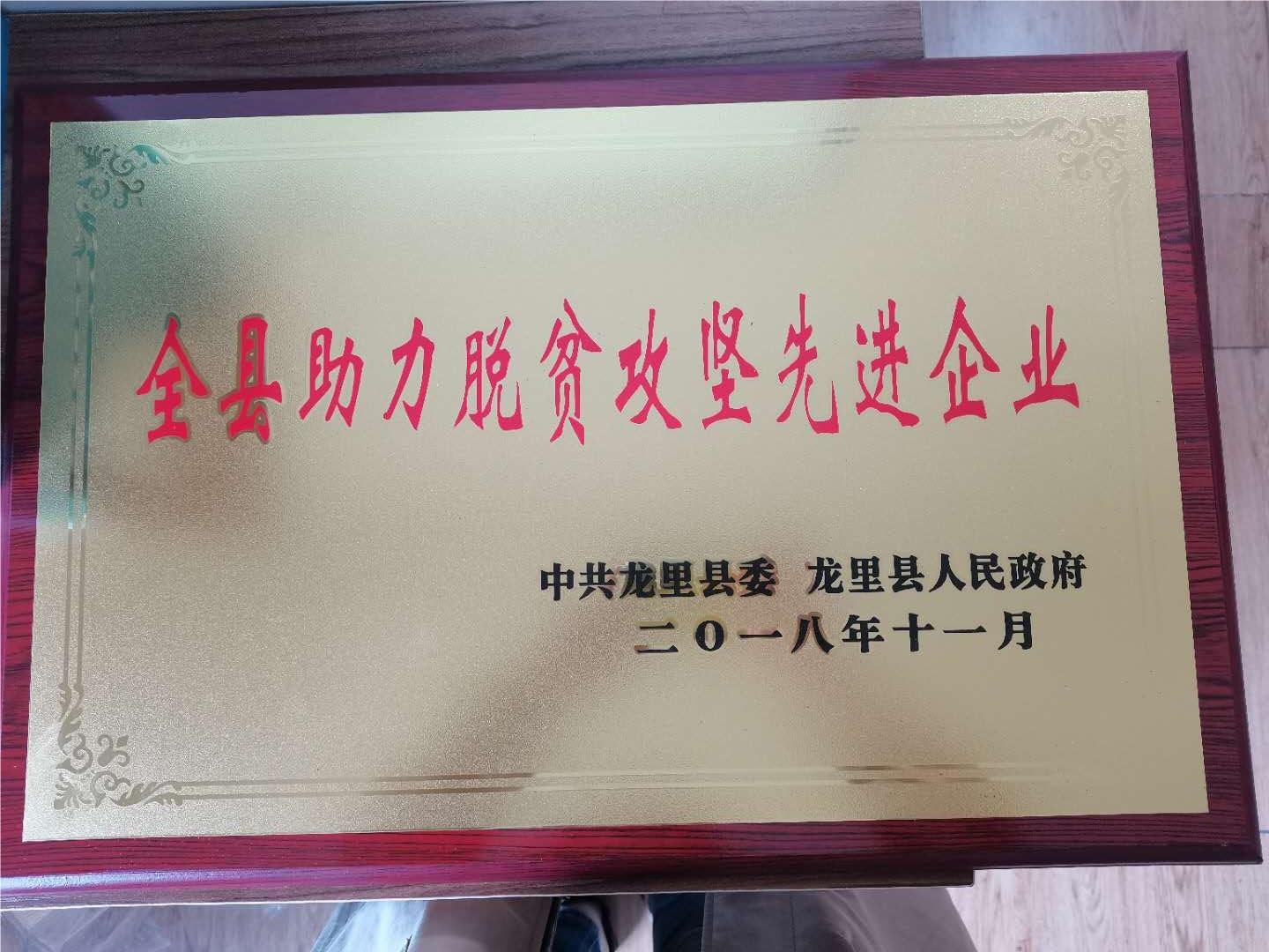 Advanced Enterprises Supporting Poverty Alleviation in the County